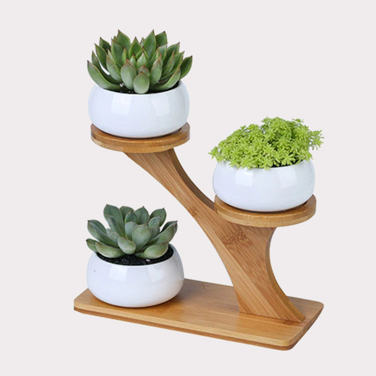 3pcs Succulent Pots with 3 Tier Bamboo Saucers Stand/Holder
